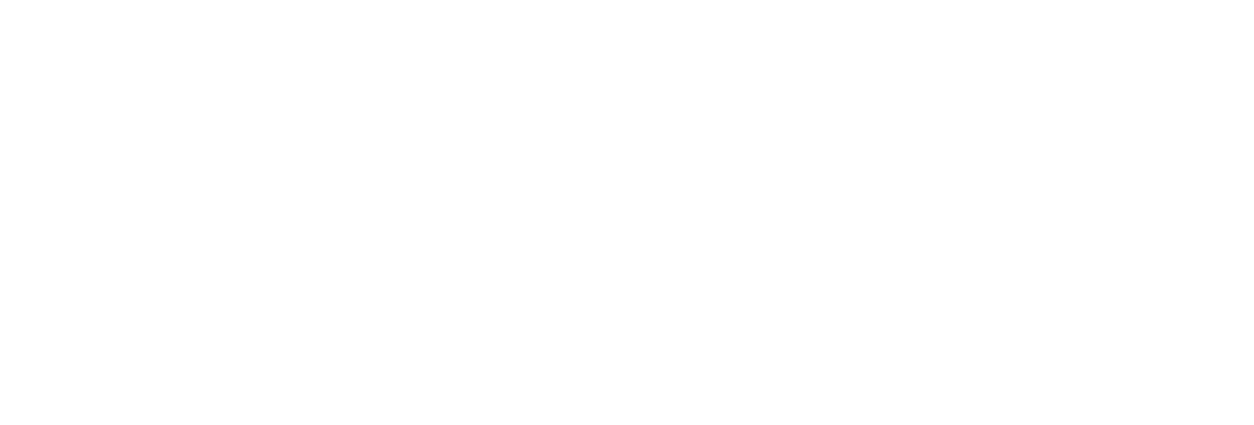 9BRIDGES